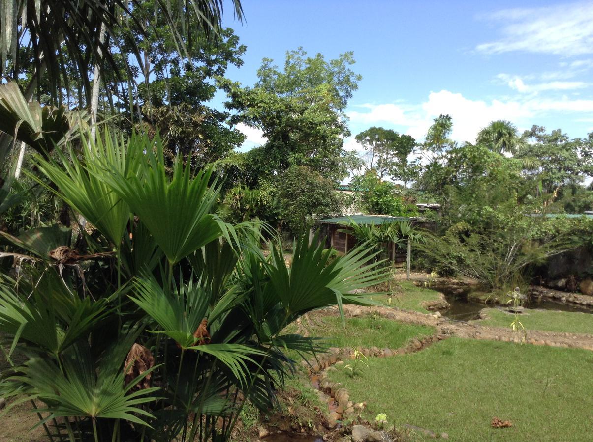 Wisdom Garden Tena Exterior foto